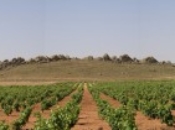 Casas Ibáñez. Cerro de los cuchillos Casas Ibáñez. Cerro de los cuchillos