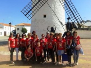 Visitas guiadas: "La Molineta" Visitas guiadas: "La Molineta"